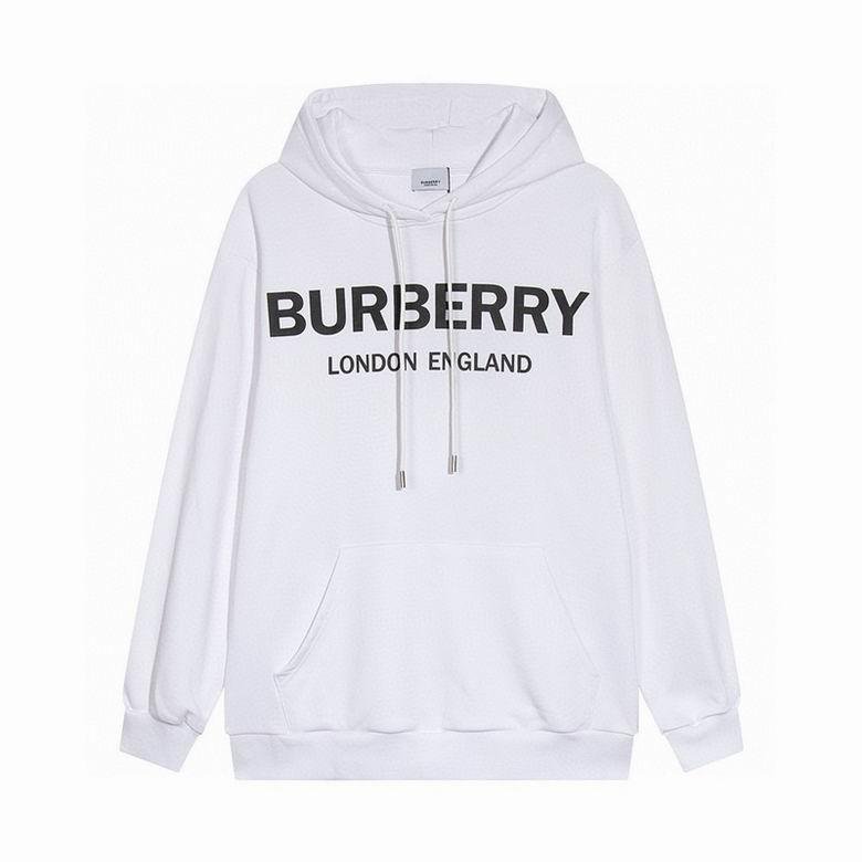 HOODIE - B
