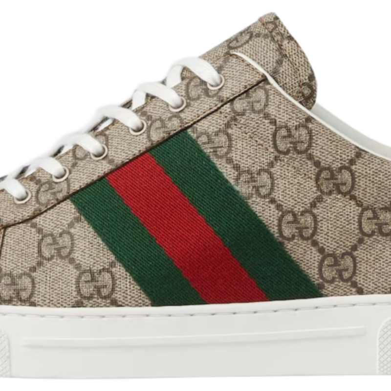 GG SHOES ACE WEB DETAIL
